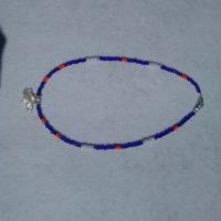 BROC02 Denver Broncos